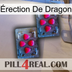 Érection De Dragon 14